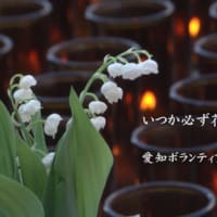 明日は鶴舞公園にて追悼式典を開催します。