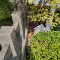 私の独り言・・猫編２０２４．０２２２～