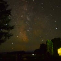 こんなようすです　　夏本番