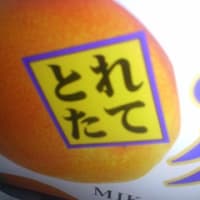 顔文字じゃけぇ D アボーンじゃけぇ 顔文字じゃけぇ D アボーンじゃけぇ