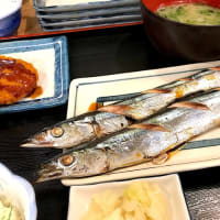 生さんま塩焼き定食 at 磯丸水産 代々木店