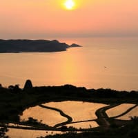 鯉流しショットに初挑戦～。