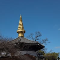 大阪市　天王寺の一心寺