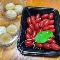12日まで休み、13日から。