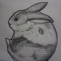 ウサギのペン画