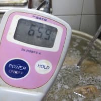 肩ロースハムを作る