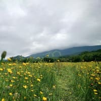 「まぶしすぎる！」メガソーラーの反射光に懸念　県が管理会社に対応を伝達も改善されず「問題について協議中」　福島市・先達山太陽光発電所