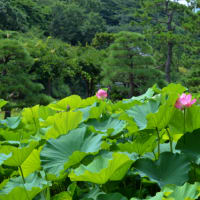三渓園