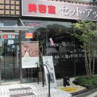 美容室セットアップ堅倉店の特典