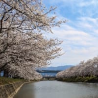 4月のお休み