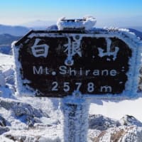 ひさびさの日光白根山