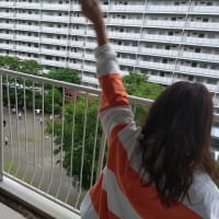 実は、カミさんが来ていました。