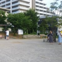 ラジオ体操第三・・・　逃げろ蝉
