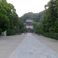 2025　梅雨入り前　鎌倉
