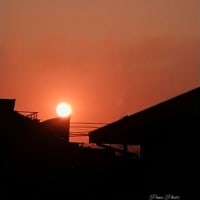 オレンジ色の空を背景に昇る朝日♪