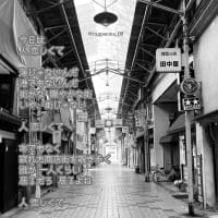 人 恋しくて ／ ラグの写真詩