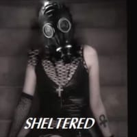 SHELTERED ( by East Meets West )