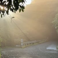 光の指す方へ　光芒