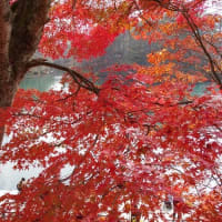 裏磐梯の湖と紅葉～