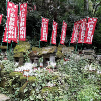 ひとり倶楽部活動開始！猛暑だけど佐助稲荷神社に御参り！