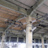 2025/3/5　きゅんパス日帰り旅行　後編
