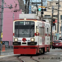 豊橋鉄道 東田～競輪場前(2025.6.8) 旧名鉄 モ８０１、モ７８６ 並び
