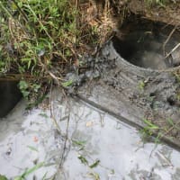 分水零では干上がる・・・