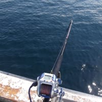 南紀白浜沖　釣行７月