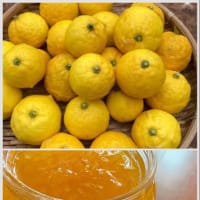 更新さぼり気味で