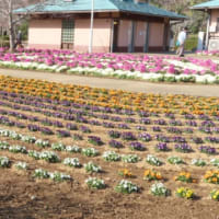 千葉　袖ヶ浦公園