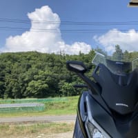 フォルツァ君にロングスクリーン導入...なのです　　＃117