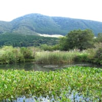 他の機種知らないから何とも言えないけど