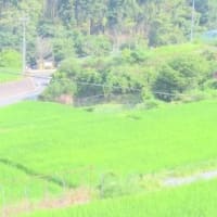 田舎へ　７月