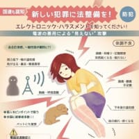 エレクトロニックハラスメント