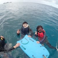 水納島が忘れなくて