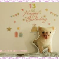お誕生日会✨🎁🎂