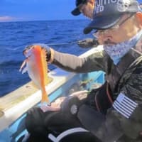 8/17(土)マイカ大ケン混じりで好調にヒット!!好調の方々と苦戦の方々と両極端でした^^;後甘鯛にアジゲット^^