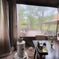 スケボー、山菜、seashaの餃子とラーメン〜