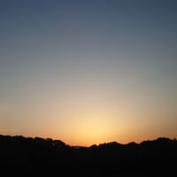 夕陽の中を疾走