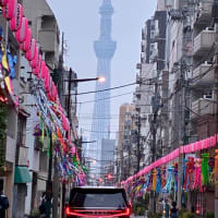 毎年この時期の楽しみ