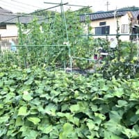 7月6日（日）②