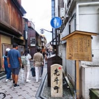 祇園で猫がらみ　先斗町
