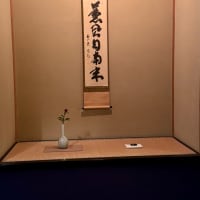 つばきおおかみやしろから多賀大社へ