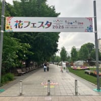 札幌大通り公園　花フェスタ2025