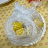 非常時に役立つ 湯煎料理