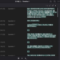 DaVinci Resolve 19 Studio版にしました！