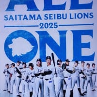 弱くても ちょっと変わった 負け方です
