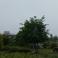 仙台の空、7年6月4日、水曜日