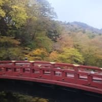 紅葉🍁真っ盛りの 日光東照宮、鬼怒川温泉の旅