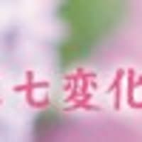 京都夏の風物詩  紫陽花名所散策